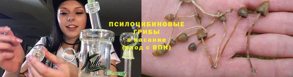 хмурый Куйбышев