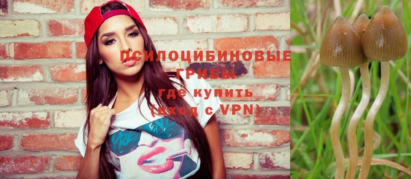 соль ск Кулебаки