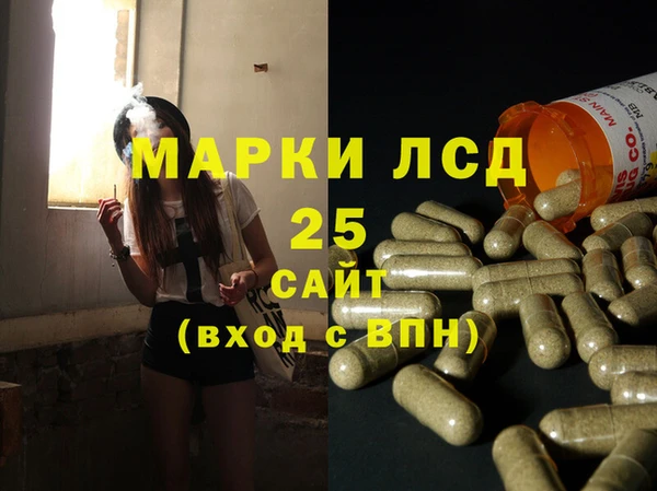 соль ск Кулебаки