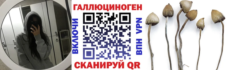 Псилоцибиновые грибы Cubensis  Купить где  Стрежевой 